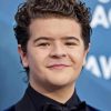 Gaten Matarazzo Actor Diamond Painting