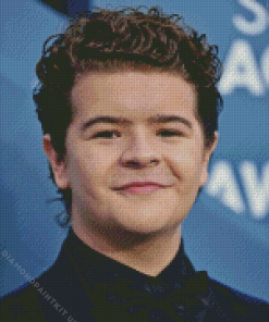 Gaten Matarazzo Actor Diamond Painting