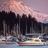 Gig Harbor Diamond Painting