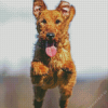 Irish Terrier Dog Diamond Painting