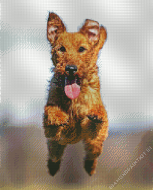 Irish Terrier Dog Diamond Painting