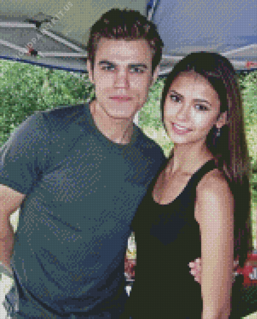 Paul Wesley and Nina Diamond Painting