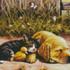 Puppy And Kitten Sleep Diamond Painting