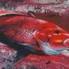 Red Snapper Art Diamond Painting