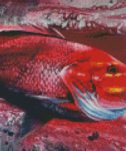 Red Snapper Art Diamond Painting