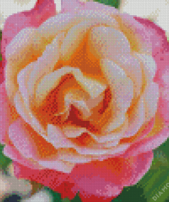 Rosa Peace Plant Diamond Painting