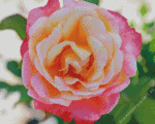 Rosa Peace Plant Diamond Painting