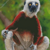 Sifaka Animal Art Diamond Painting