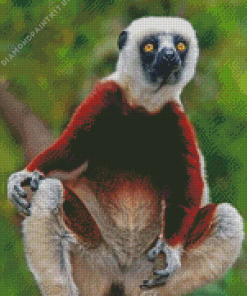 Sifaka Animal Art Diamond Painting