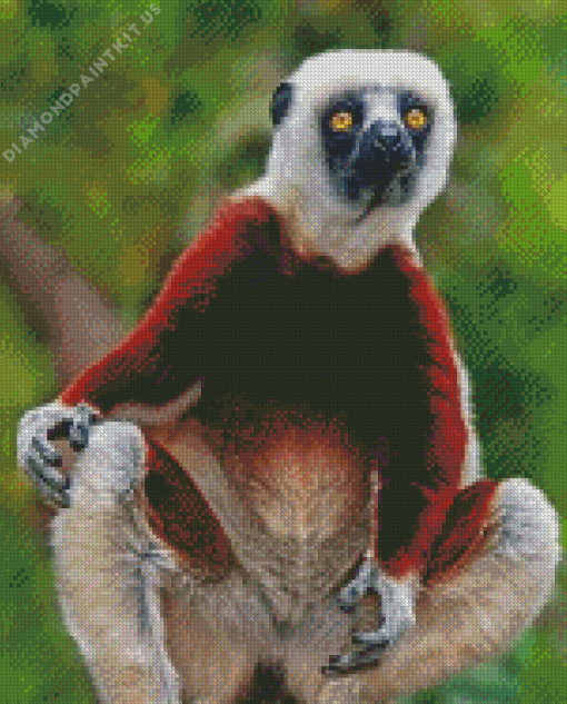 Sifaka Animal Art Diamond Painting