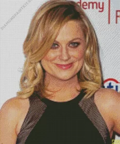 Amy Poehler Actress Diamond Painting