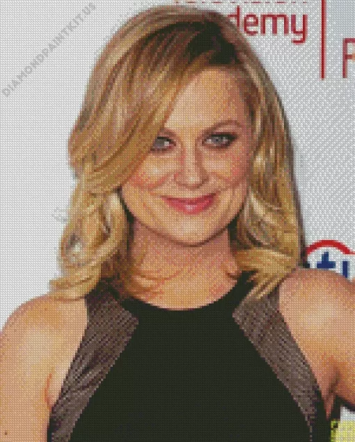 Amy Poehler Actress Diamond Painting