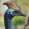 Cassowary Diamond Painting