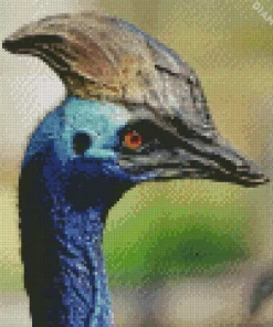 Cassowary Diamond Painting