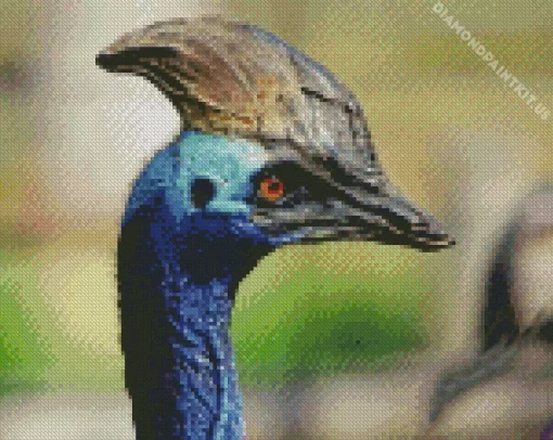 Cassowary Diamond Painting