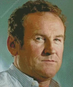 Colm Meaney Diamond Painting