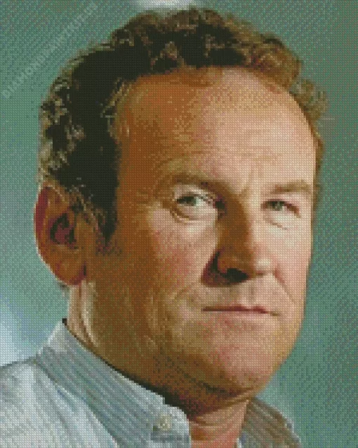 Colm Meaney Diamond Painting