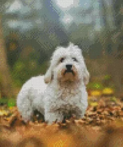 Coton Tulear Diamond Painting