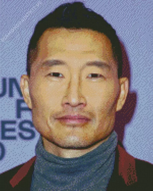 Daniel Dae Kim Diamond Painting