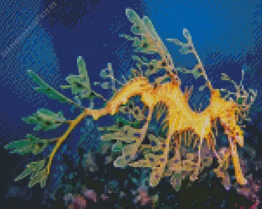 Leafy Seadragon Fish Diamond Painting