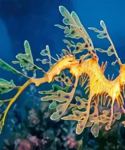 Leafy Seadragon Fish Diamond Painting