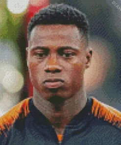 Quincy Promes Diamond Painting