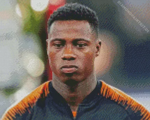 Quincy Promes Diamond Painting