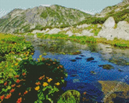 Retezat National Park Nature Diamond Painting