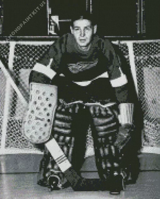 Terry Sawchuk Player Diamond Painting