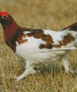 Willow Ptarmigan Diamond Painting