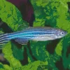 Zebrafish Diamond Painting