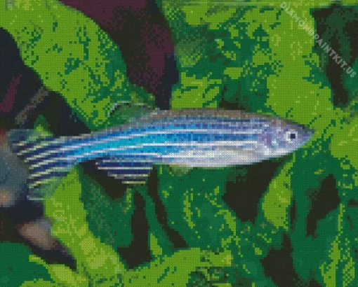 Zebrafish Diamond Painting