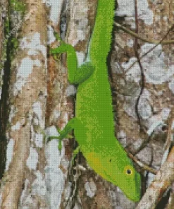 Anolis Garmani Diamond Painting