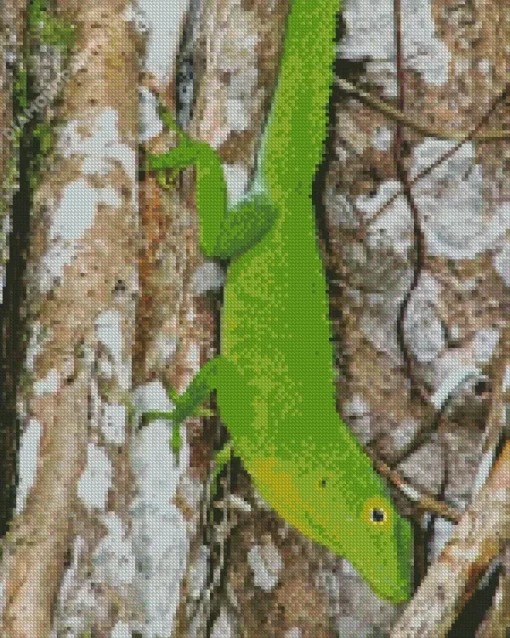 Anolis Garmani Diamond Painting