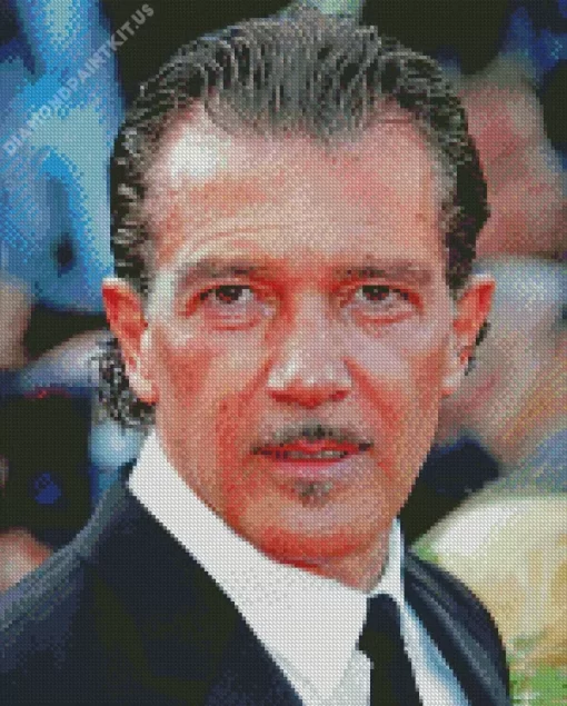 Antonio Banderas Celebrity Diamond Painting