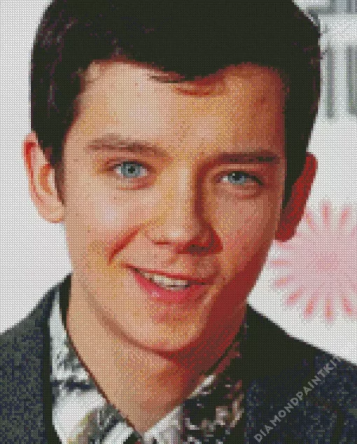 Asa Butterfield Actor Diamond Painting