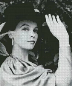 Black And White Leslie Caron Diamond Painting