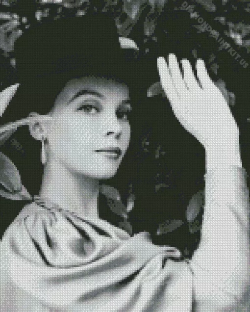 Black And White Leslie Caron Diamond Painting