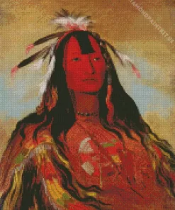 George Catlin Diamond Painting