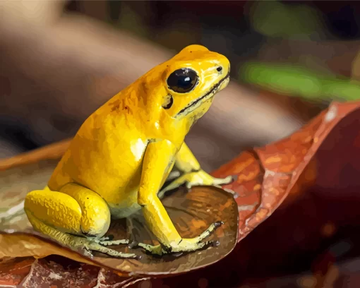 Golden Poison Dart Frog Diamond Painting