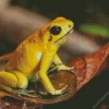 Golden Poison Dart Frog Diamond Painting