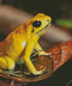 Golden Poison Dart Frog Diamond Painting