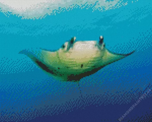 Manta Rays Diamond Painting