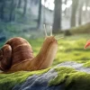 Mushroom And Snail in Nature Diamond Painting