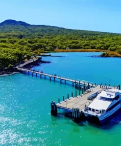 Rangitoto Island Diamond Painting