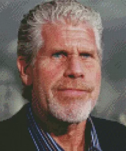 Ron Perlman Actor Diamond Painting