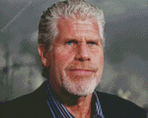 Ron Perlman Actor Diamond Painting