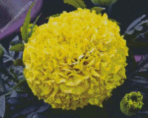 Tagetes Erecta Diamond Painting