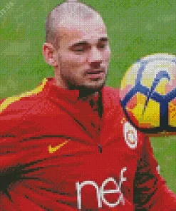 Wesley Sneijder Footballer Diamond Painting