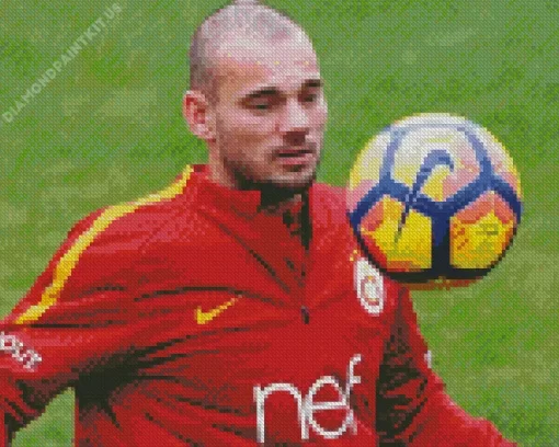 Wesley Sneijder Footballer Diamond Painting